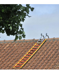 ECHELLE DE TOIT EN BOIS